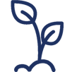 growth2