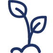 growth2